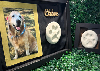 Quadro Moldura Memorial