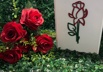 Urna Box Rosa (Grande Porte)